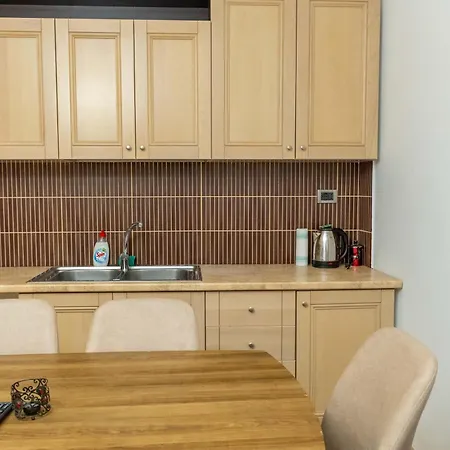 Tirent - Spacious 2-bedroom Near Liqeni I Thate 地拉那